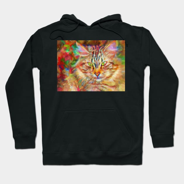 Colorful Cat in Abstract Hoodie by jillnightingale